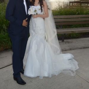 Wedding dress and vail